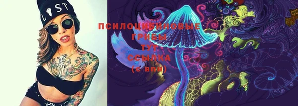 крисы Алексеевка