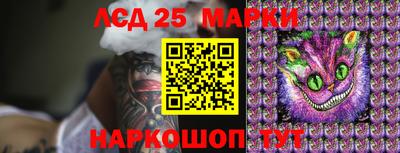 гашик Новозыбков