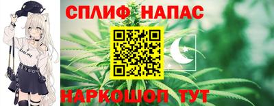 гашик Новозыбков