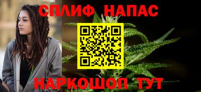 гашик Новозыбков