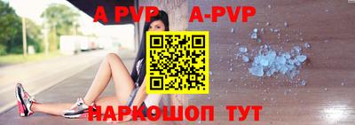 гашик Новозыбков