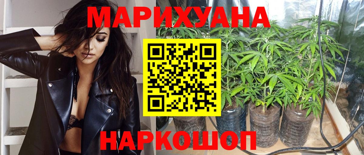 МАРИХУАНА план  МАРИХУАНА план  Геленджик  Вход с VPN  Бошки Шишки тримм  Канабис гибрид 
